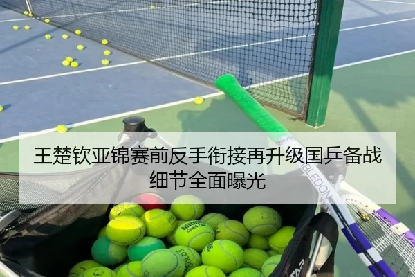王楚钦亚锦赛前反手衔接再升级国乒备战细节全面曝光